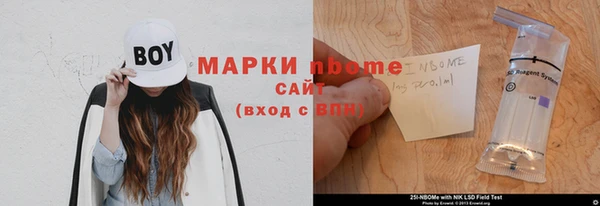 индика Новодвинск