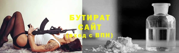 прущие грибы Новозыбков