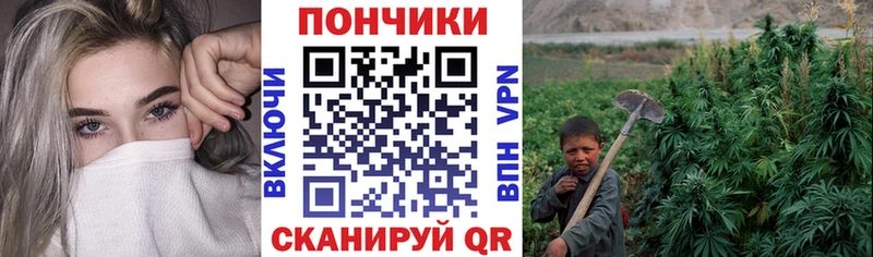 Канабис гибрид  наркошоп  Струнино 